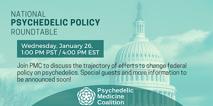 
		National Psychedelic Policy Roundtable image

