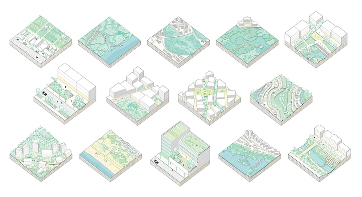 Afbeelding van Webinar weerbare steden met Catalogue of Nature-Based Solutions