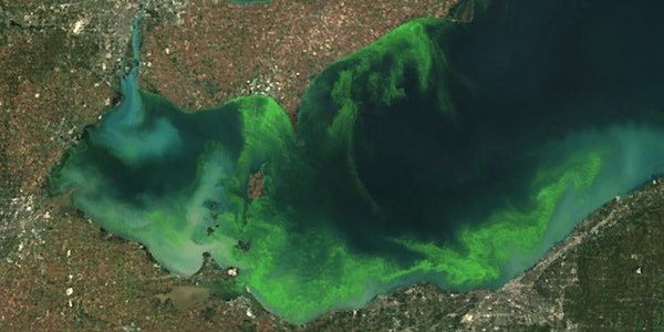 Harmful Algal Blooms Workshop