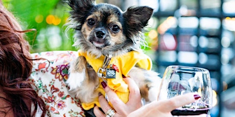 Paws on The Patio to Benefit Charleston Animal Society tickets