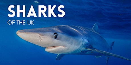 Sharks of the UK tickets