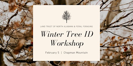 Winter Tree Identification Workshop tickets