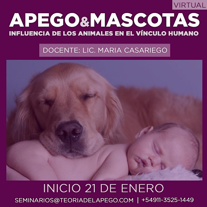 Imagen de Apego&Mascotas