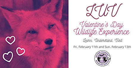 LUV Valentine's Wildlife Experience tickets