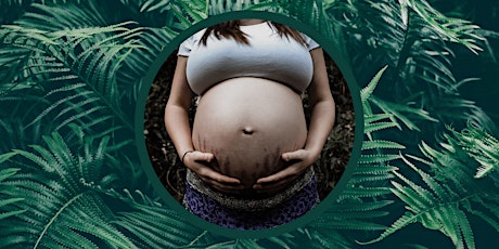 Freebirth 101 - A radical birth education class tickets