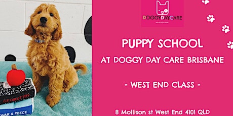 Puppy School at Doggy Day Care Brisbane - West End tickets