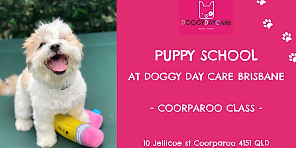 Puppy School at Doggy Day Care Brisbane - Coorparoo