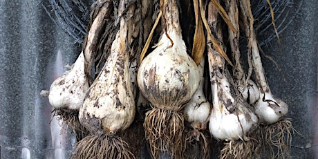 Growing Garlic Workshop -Learn everything about growing Garlic successfully tickets