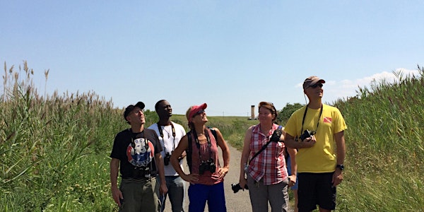 Freshkills Park Nature Hike