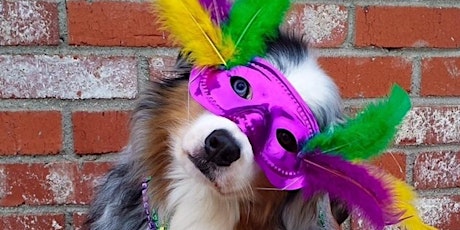 Mystic Krewe of Salty Paws Pet Parade tickets