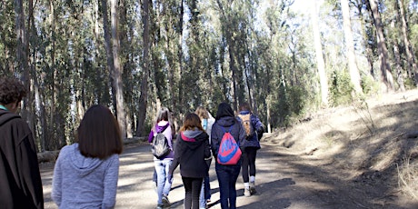 Redwood Regional Park Hiking Trip primary image