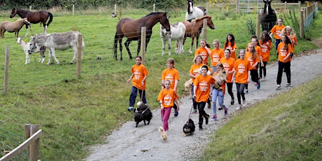 Register your interest in DSPCA Kids Camps for ages 7 - 15