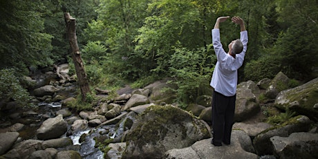 Shaolin Qigong Workshop: Generating Energy Flow for Health and Vitality tickets