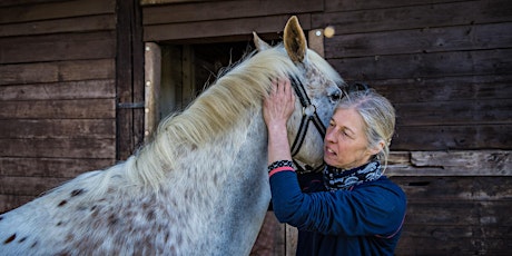 Webinar: Why Horses 'misbehave' - the role of McTimoney treatment tickets