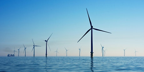 Opportunities for nature recovery within offshore wind farms around the UK biglietti