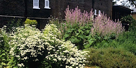 Chelsea Fringe - Gorgeous Gardens - Walk and Talk thru 4 Centuries of Gardens primary image