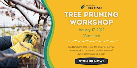 Baltimore Tree Trust Pruning Workshop primary image