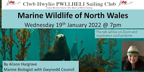 Marine Wildlife of North Wales tickets