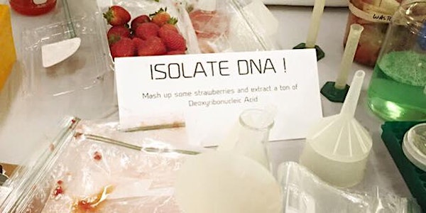 Art with Jeans/Genes- A family art/science event