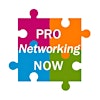 Logotipo de PRO Networking NOW