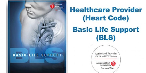American Heart Association BLS Provider SKILLS TESTING ONLY primary image