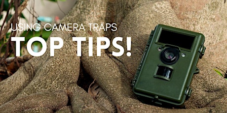 Using Camera Traps - Top Tips!