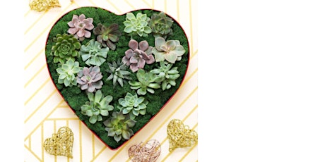 Succulent and Chocolate Valentines Gift Class tickets
