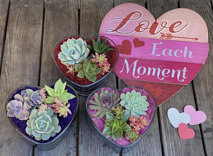 
		Succulent and Chocolate Valentines Gift Class image
