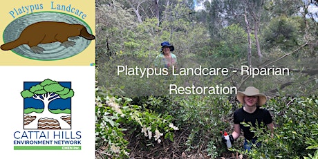 Platypus Landcare - Riverbank Restoration primary image