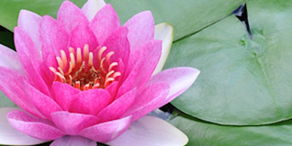 Mind in Labor (3-Day Mindfulness Childbirth Workshop)