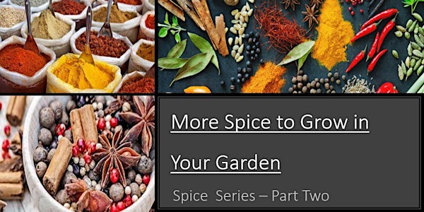 More Spice to Grow in Your Garden - Part 2