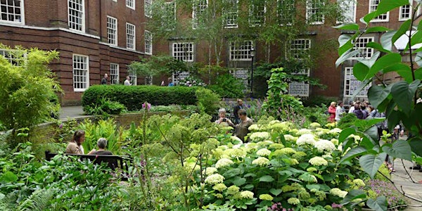 The BMA Mind Garden