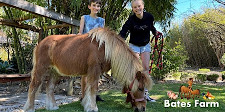 Private session - Meet all the animals on the Bates Farm tickets
