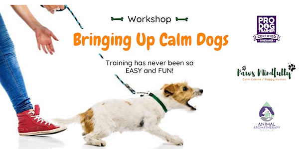 Bringing Up Calm Dogs
