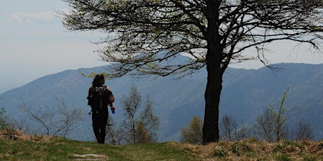 Immagine principale di Sentiero dei Partigiani al Col del Lys 