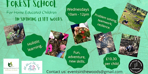 Forest  School for Home Educated children. (5-11yrs)