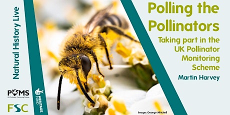 Polling the Pollinators: Taking part in the UK Pollinator Monitoring Scheme