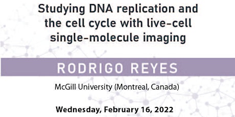 DNA replication and  cell cycle with live-cell  single-molecule imaging tickets
