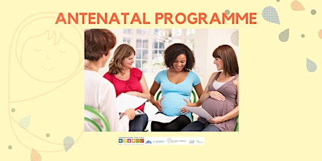 Online Antenatal Programme