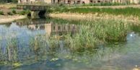 World Wetland Day  - The Wetland at Headstone Manor Park tickets