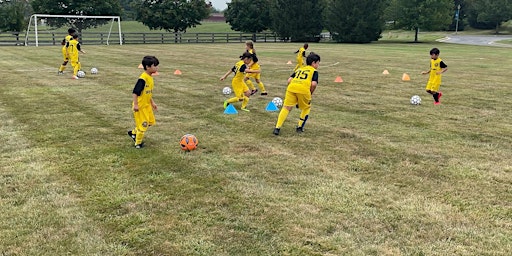 NACTM Soccer Camps Columbia, MD