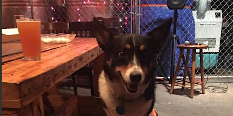 Dog encouraged comedy show w/ comedians from Amazon, Hulu, Netflix, & more tickets