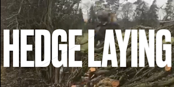 Hedge Laying Skills:1-Day Introduction to Hedge Laying