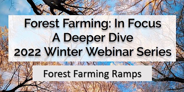 Forest Farming in Focus-Forest Farming Ramps
