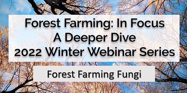 Forest Farming in Focus-Forest Farming Fungi