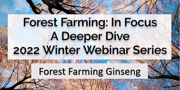 Forest Farming in Focus-Forest Farming Ginseng