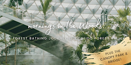 Mornings in the Woods: a forest bathing journey @ Shiseido Forest Valley tickets