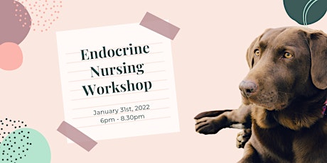 Endocrine Nursing Workshop tickets