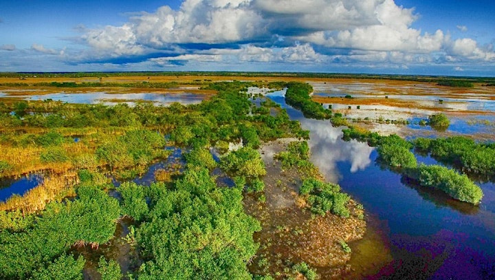 MIAMI EVERGLADES ECO-ADVENTURE & AIRBOAT RIDE AND SHOW ! image