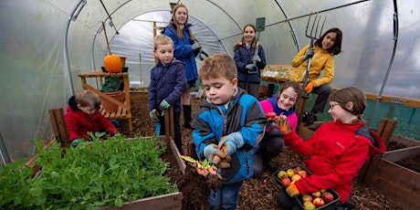 Tesco Community Grants Info Session for Food Projects and Organisations tickets